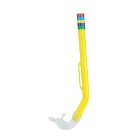 portfolio item photo